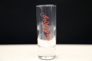 Ray Stevens CabaRay Showroom double shot glass 